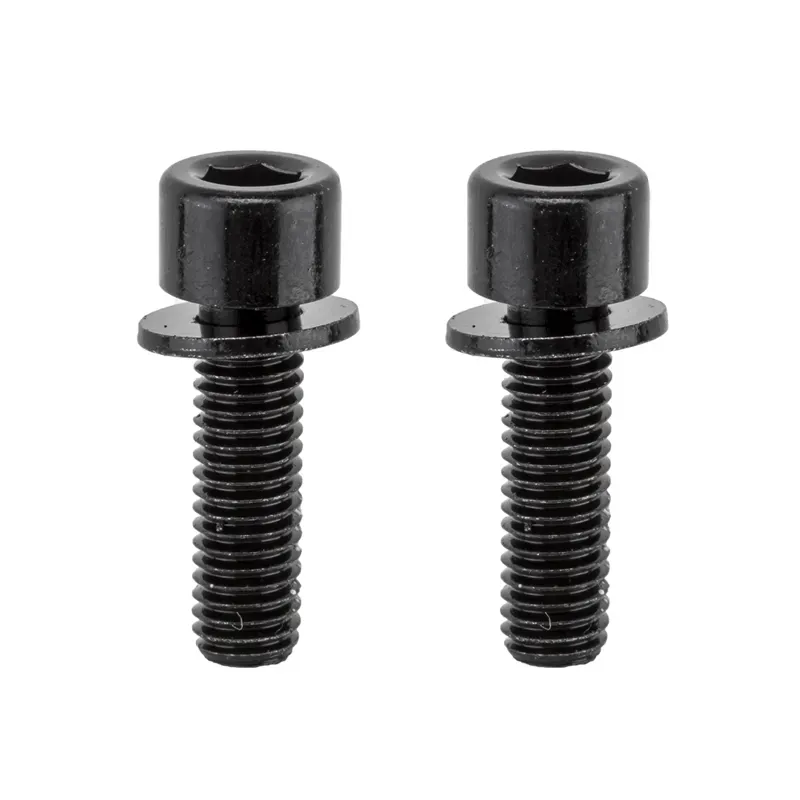 TRP - Spare - Mounting bolts(x2)for Flat Mount Rear Cal black
