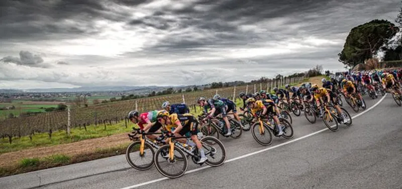 Vittoria Corsa Pro 23-28 G2.0 Tubular Tyre in Black Tan-3